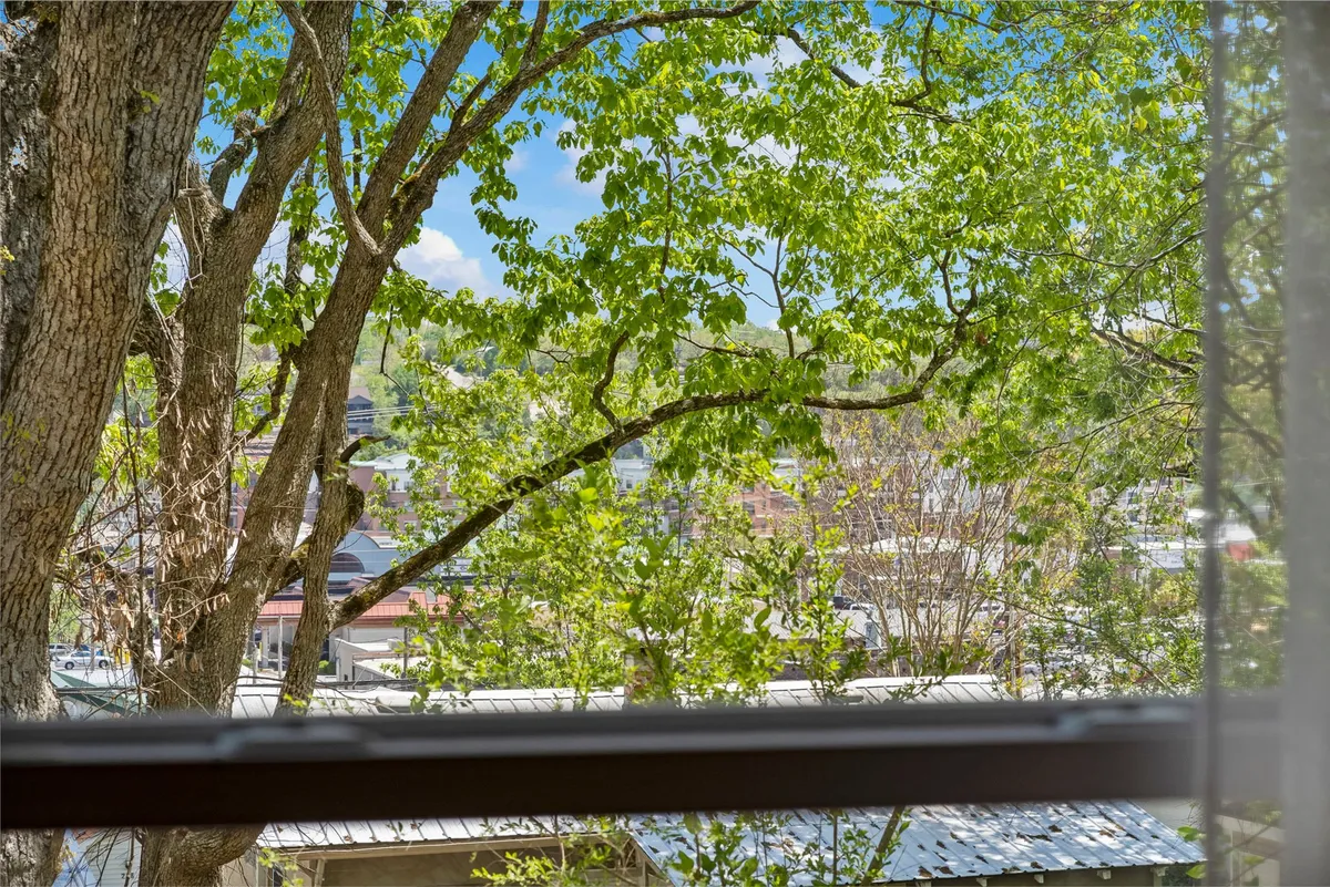 A serene view through lush green leaves toward distant rooftops, under an open blue sky. The scene suggests peaceful outdoor moments and a sense of connection to the surrounding neighborhood and nature.